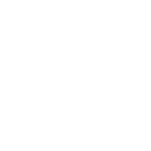 blue tide logo bt icon white